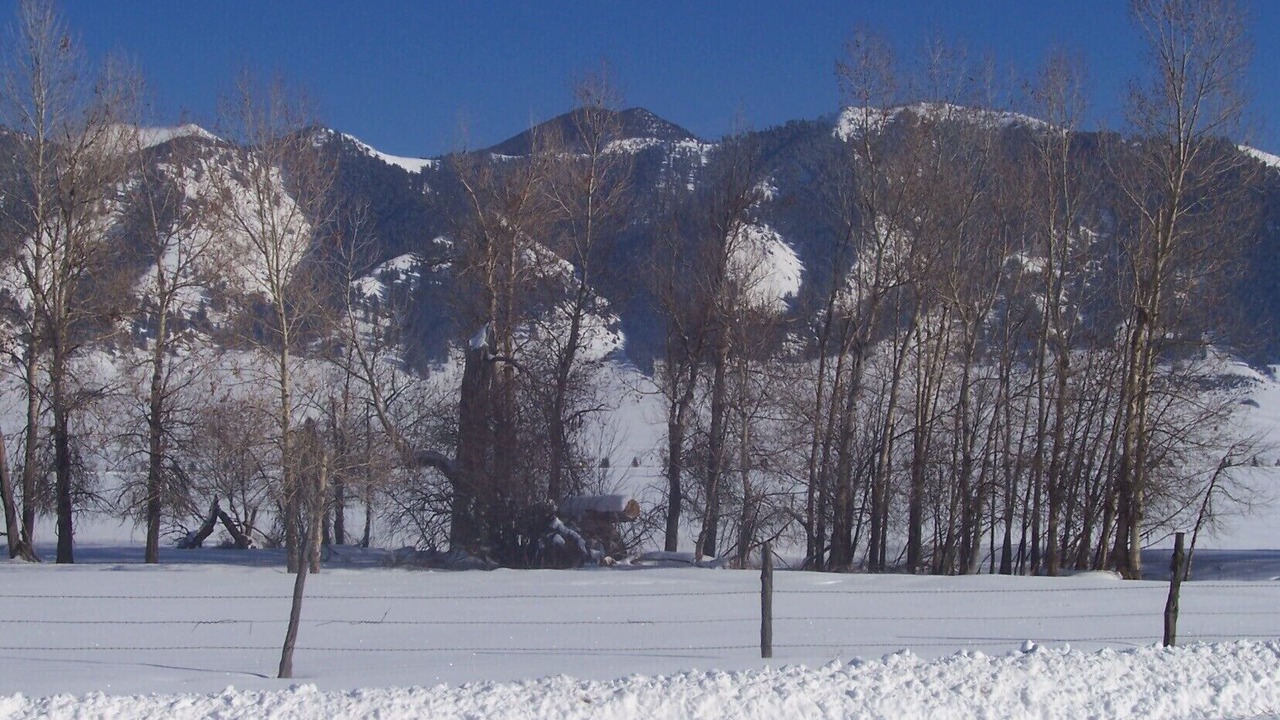 Photo of Others in Bozeman