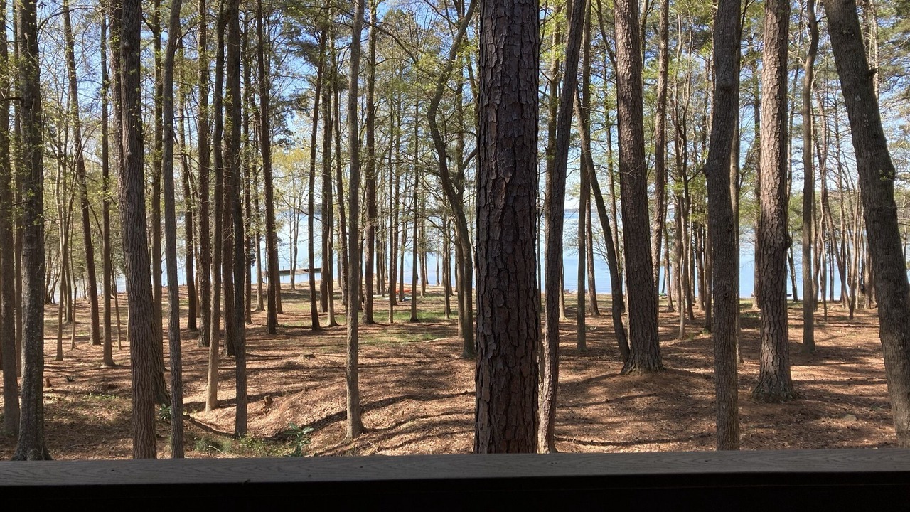 Photo of Outdoor in Anderson