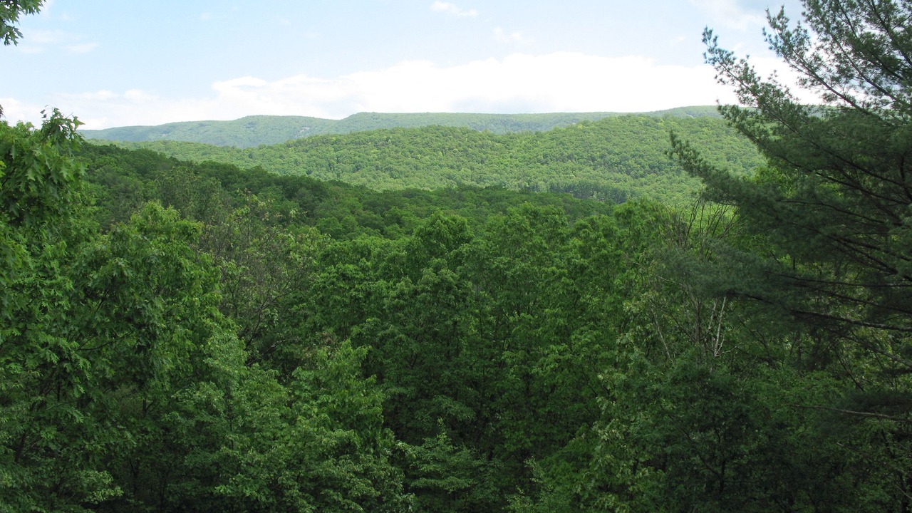 Photo of Others in Great Cacapon