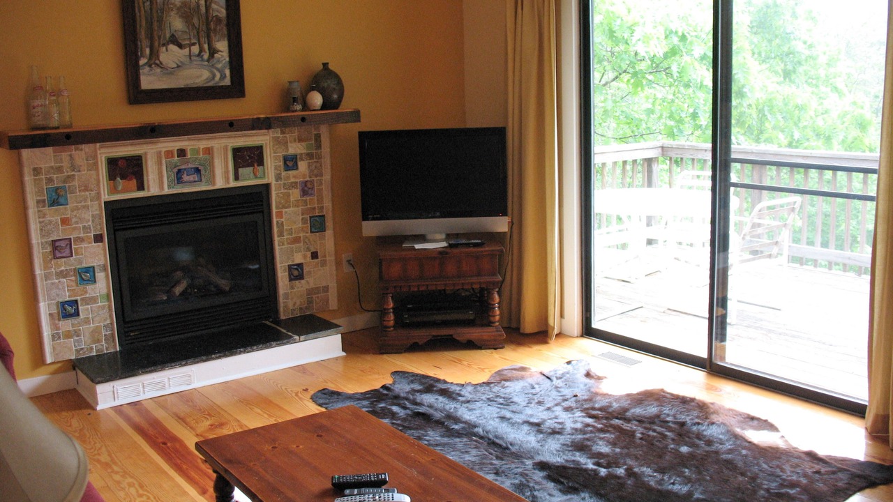Photo of Livingroom in Great Cacapon