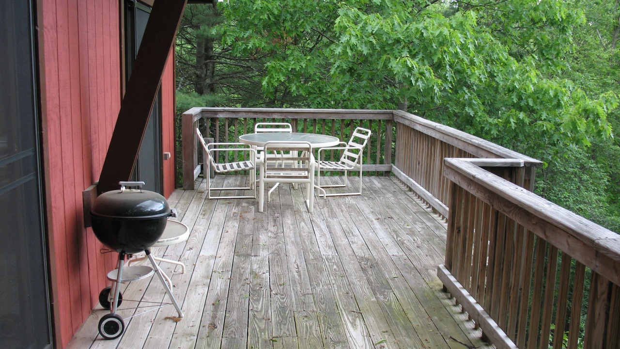 Photo of Others in Great Cacapon