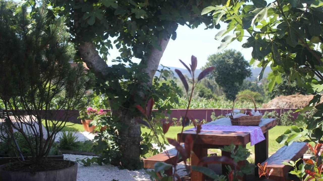 Photo of Outdoor in Carballo