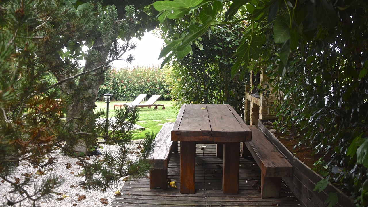 Photo of Outdoor in Carballo