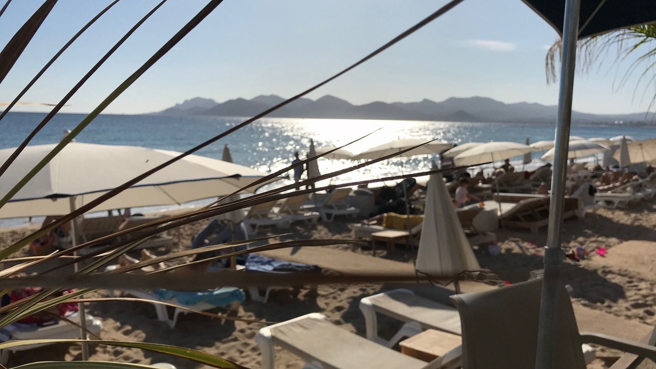 Photo of Others in Cannes City Centre