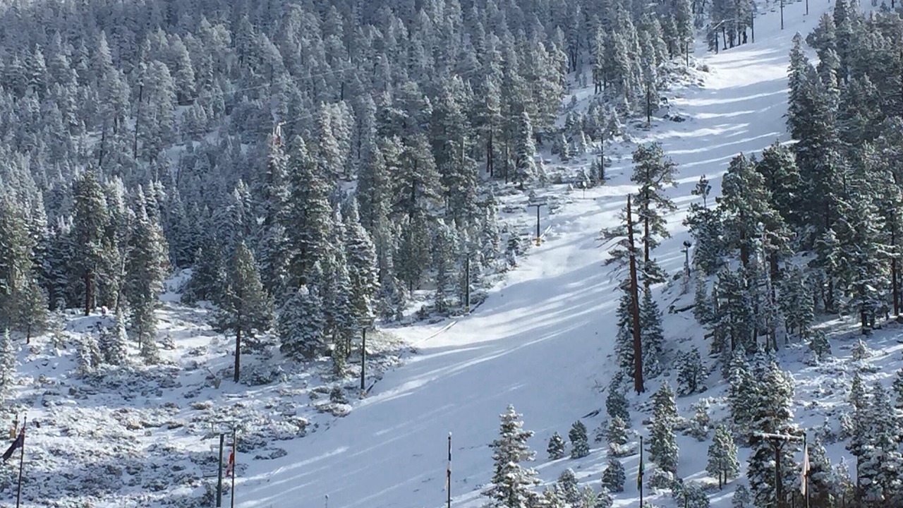Photo of Others in South Lake Tahoe