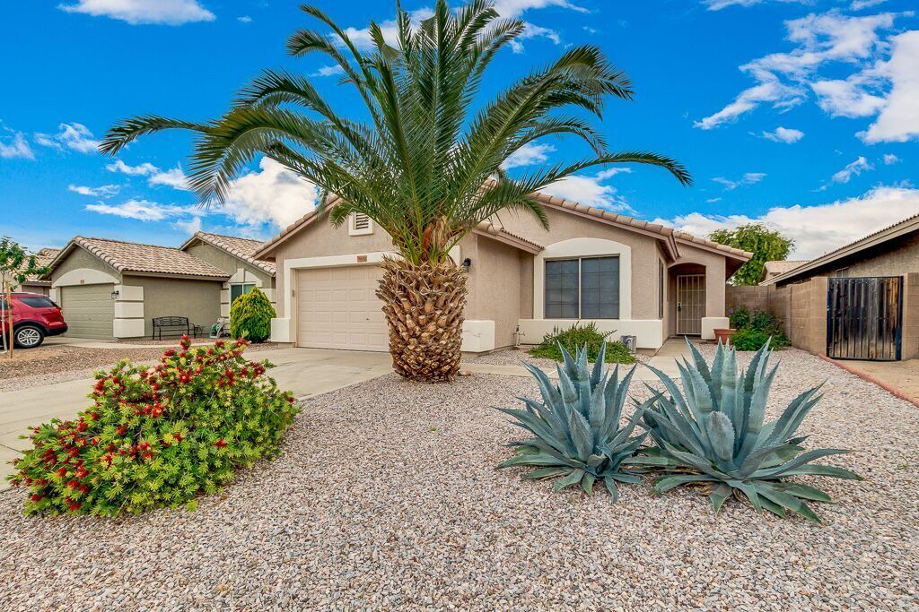 Photo of Others in Apache Junction