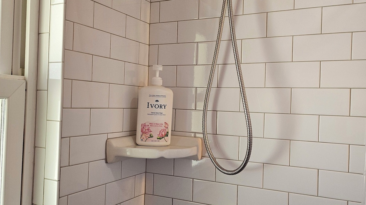 Photo of Bathroom in Anna Maria