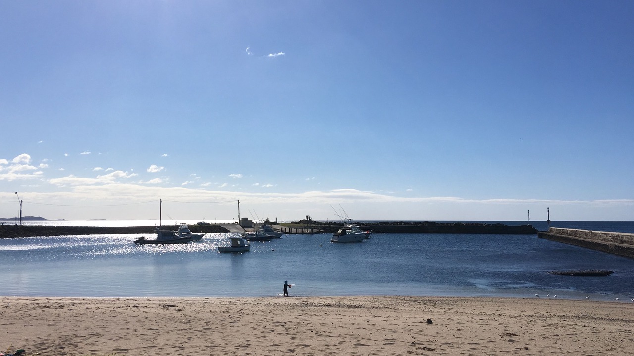 Photo of Others in Shellharbour