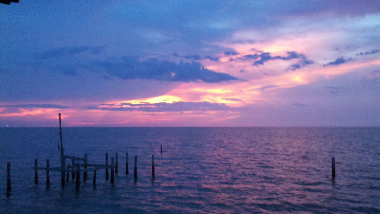 Photo of Others in Gulf Shores