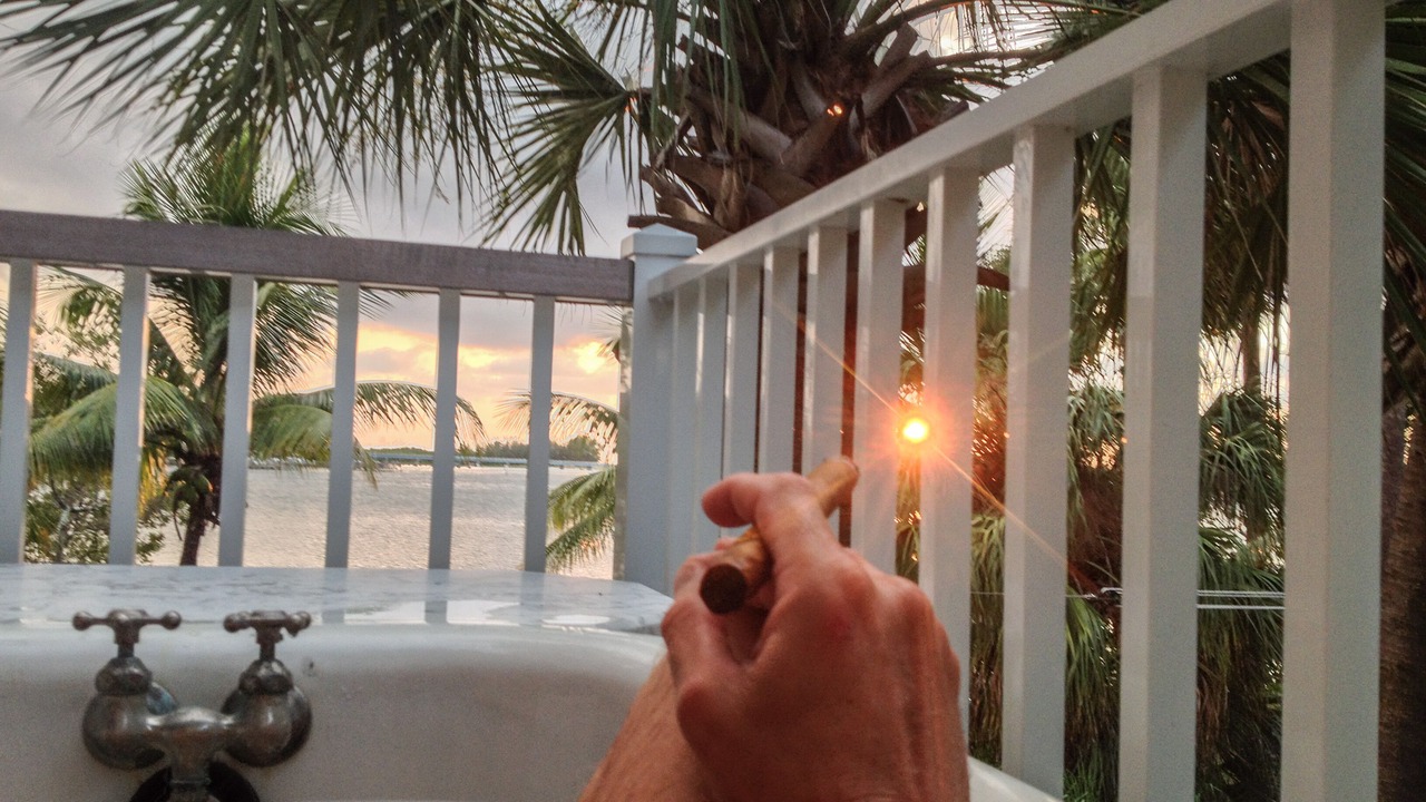 Photo of Outdoor in Whitney Beach
