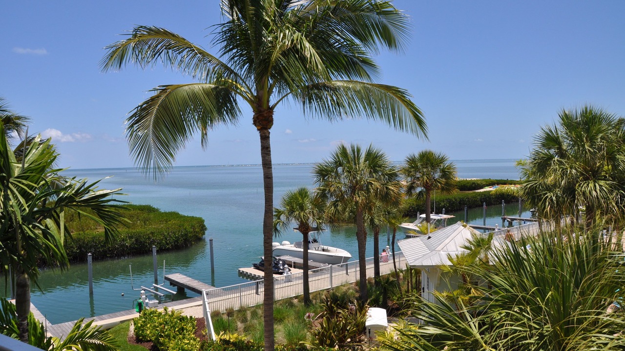 Photo of Outdoor in Islamorada
