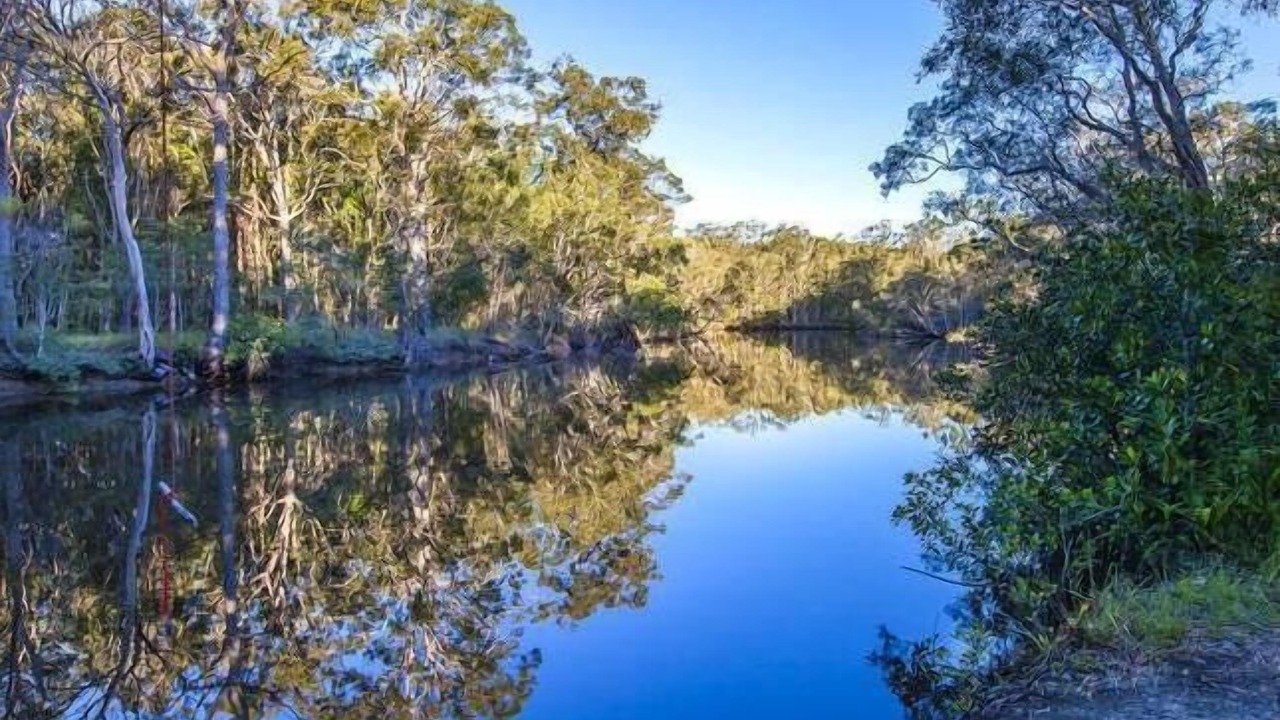 Photo of Others in Cooroibah