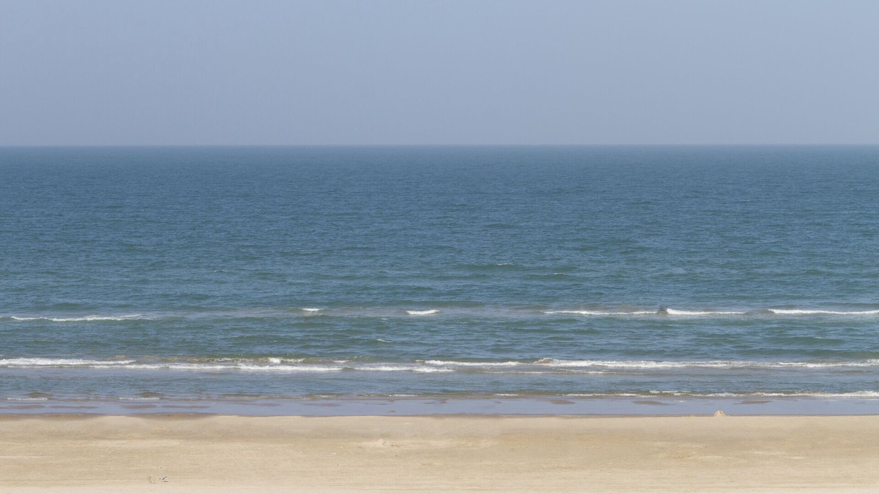 Photo of Others in South Padre Island