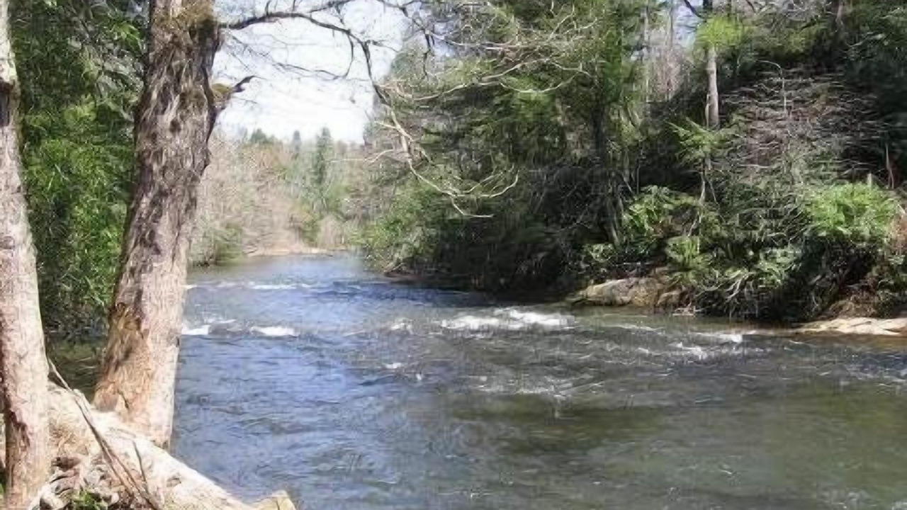 Photo of Others in Blue Ridge