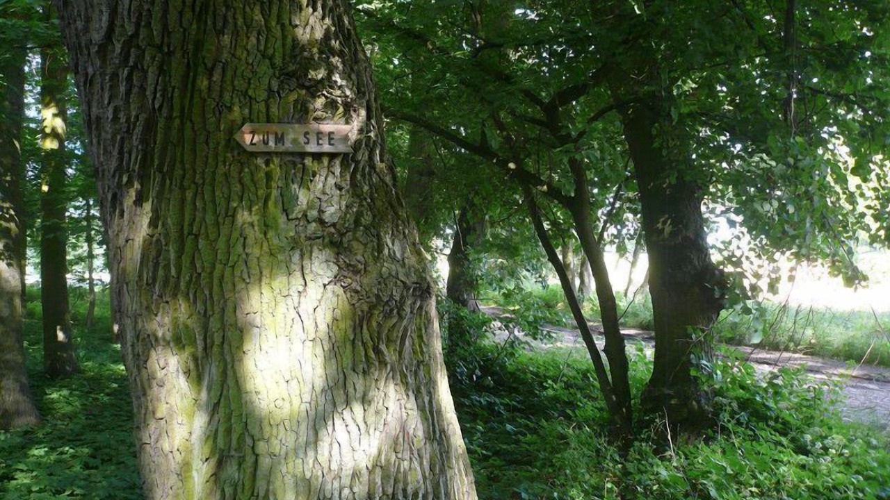 Photo of Outdoor in Menkin