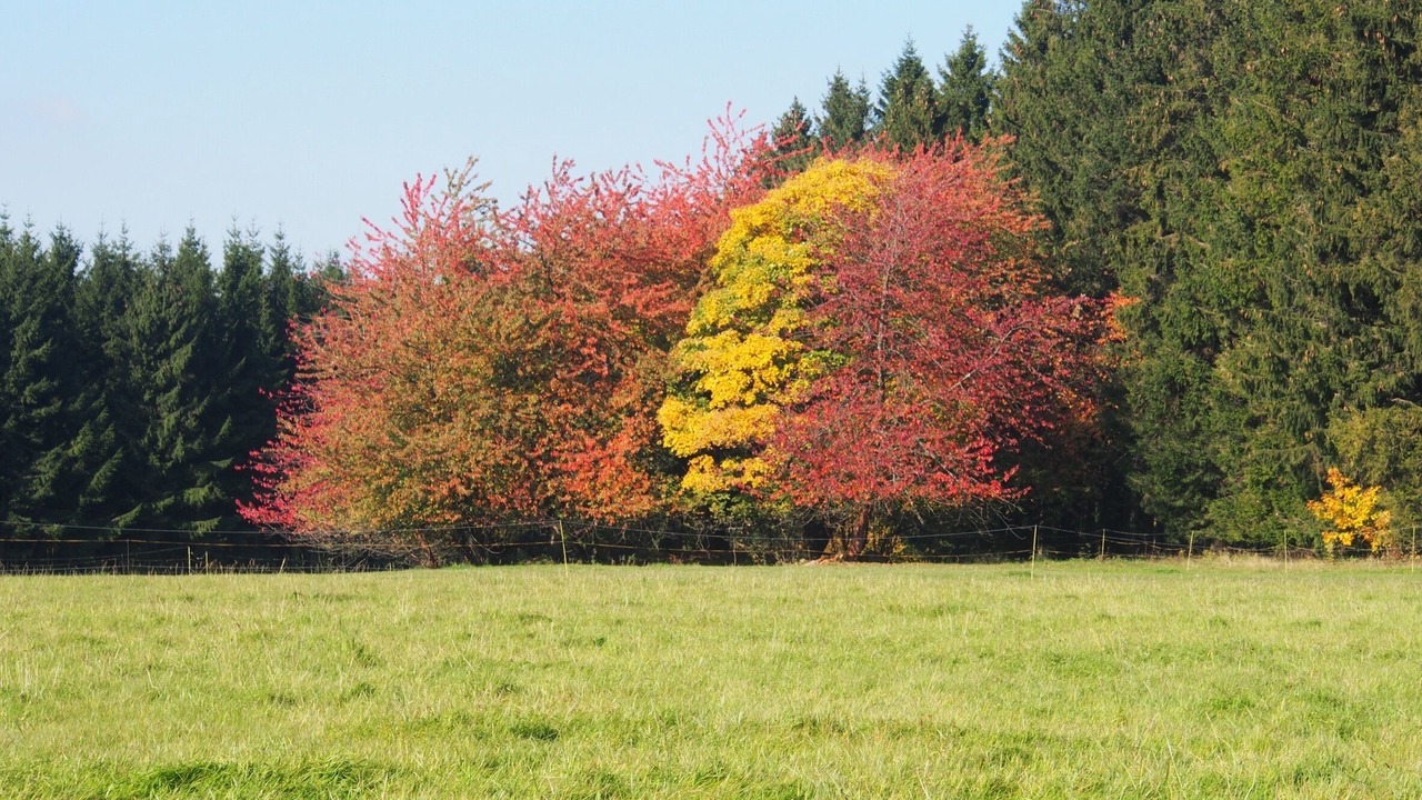 Photo of Outdoor in Weißenberg