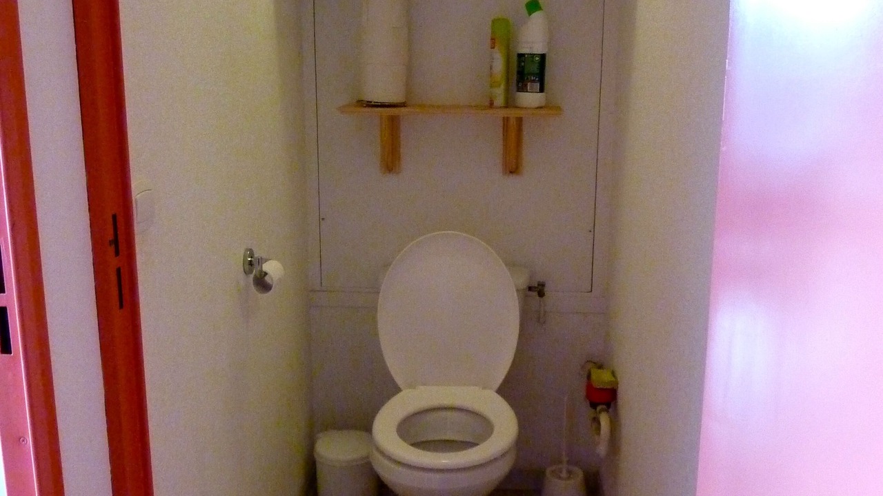 Photo of Bathroom in Montclar