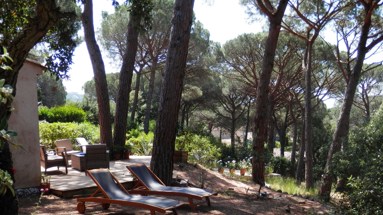 Photo of Outdoor in Sainte-Maxime