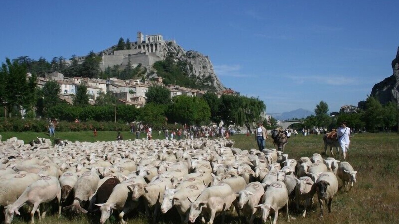 Photo of Others in Upaix