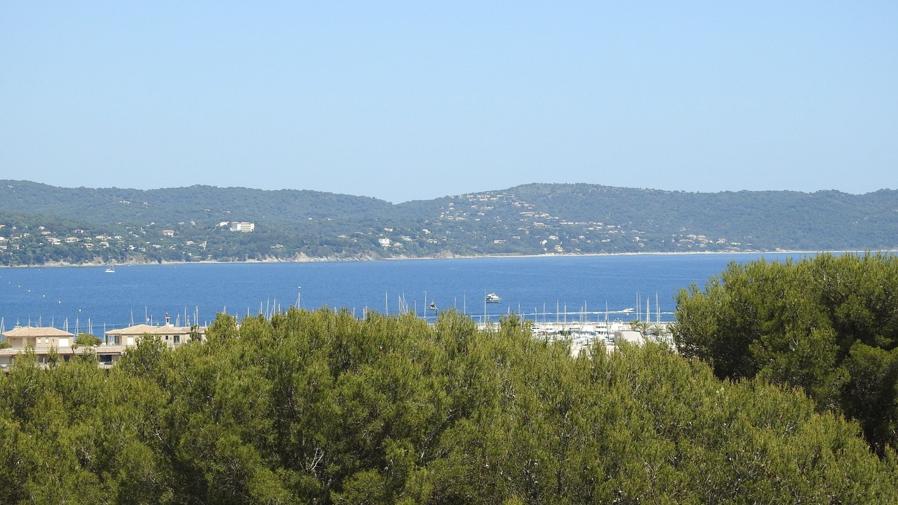 Photo of Others in Cavaliere