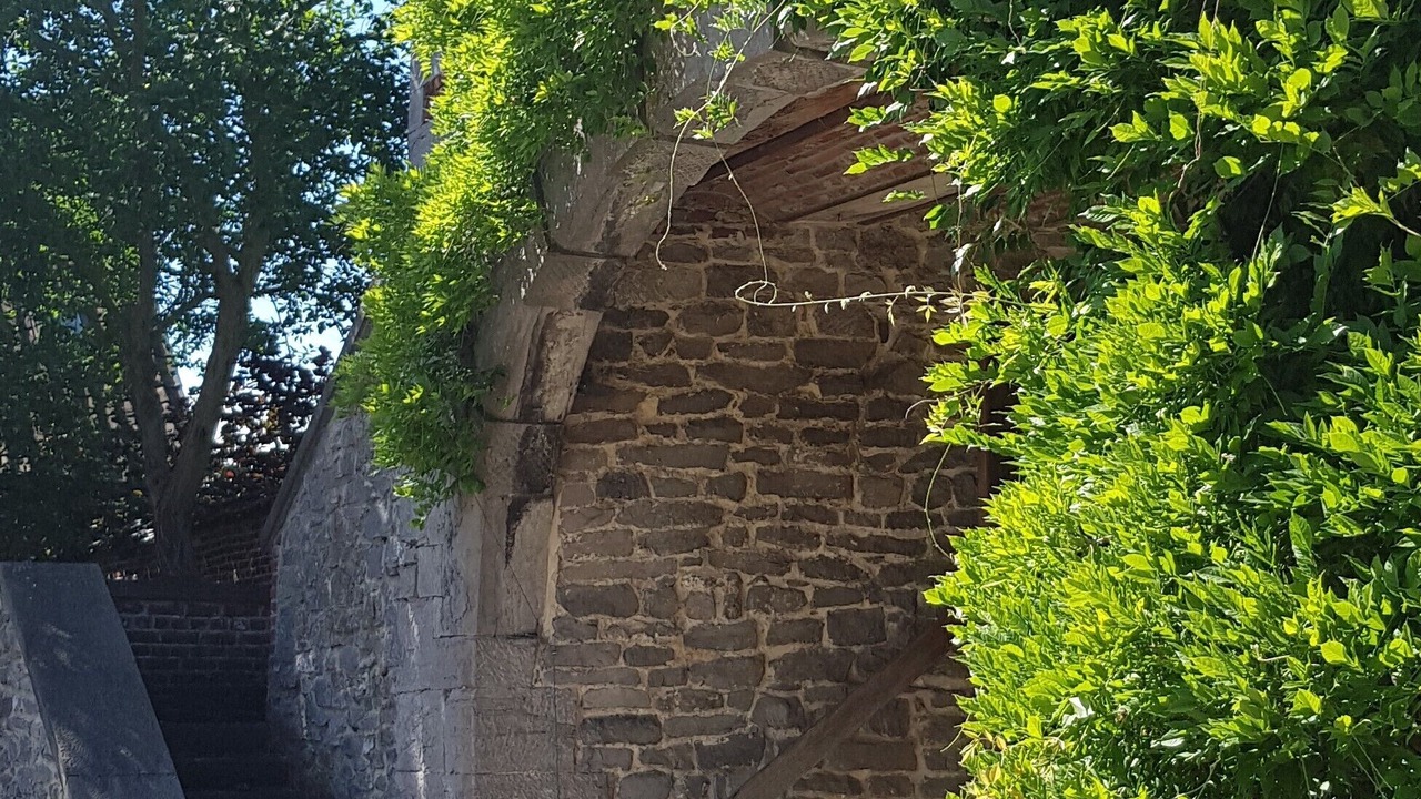 Photo of Outdoor in Seneffe