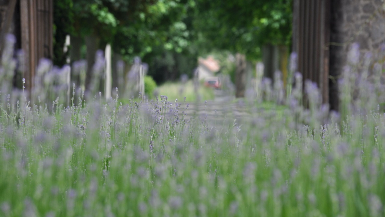Photo of Outdoor in Seneffe