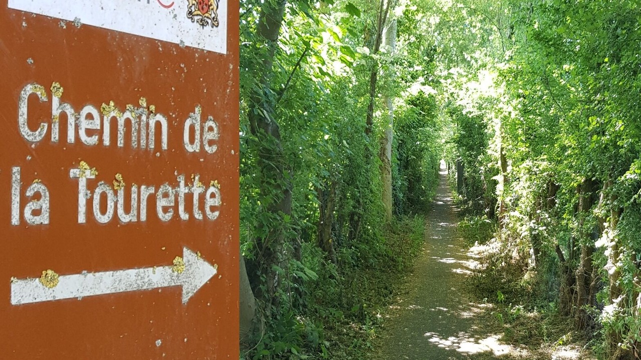 Photo of Outdoor in Seneffe