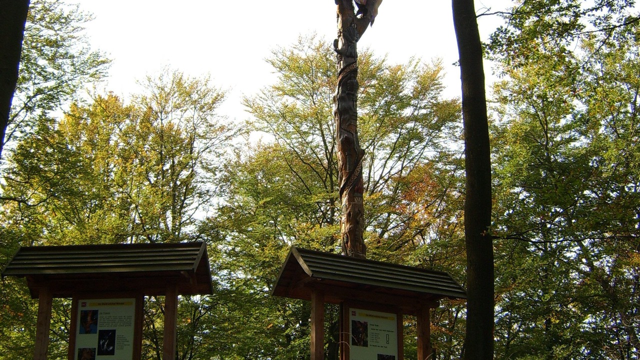 Photo of Outdoor in Olsberg