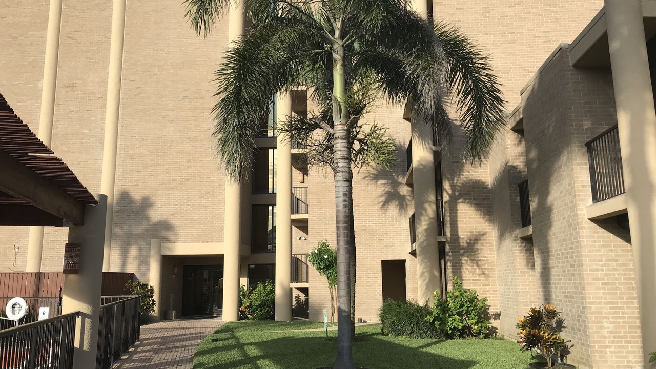 Photo of Outdoor in South Padre Island