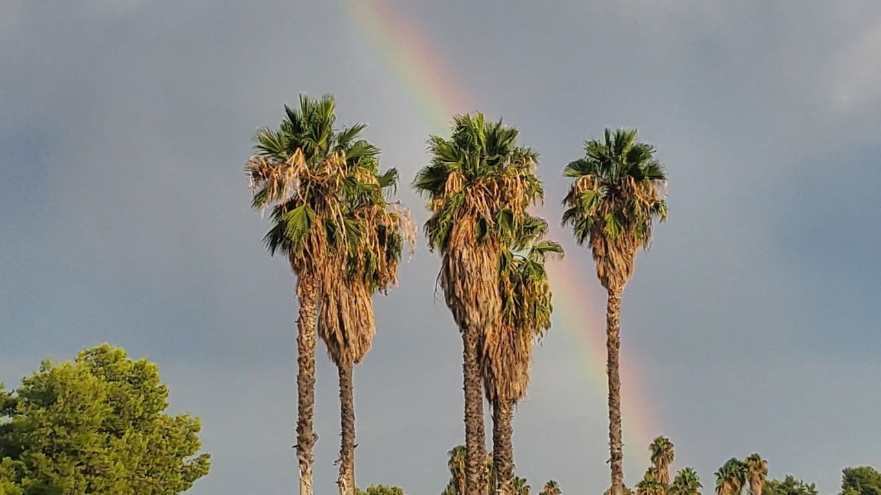 Photo of Others in Menifee