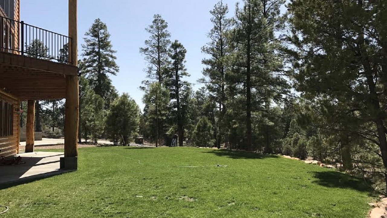 Photo of Others in Heber