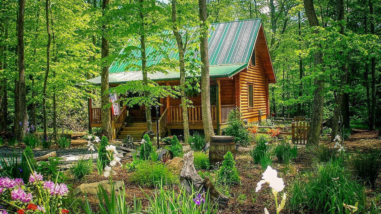 Photo of Outdoor in Todd