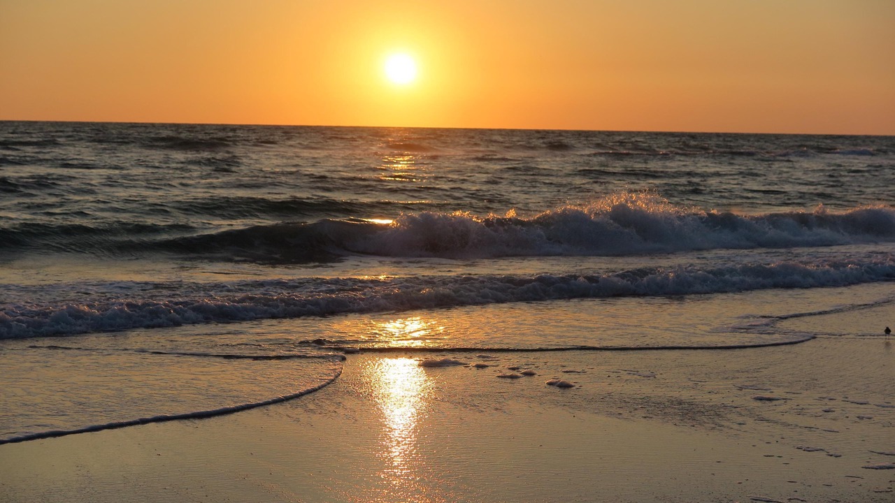 Photo of Others in Bradenton Beach