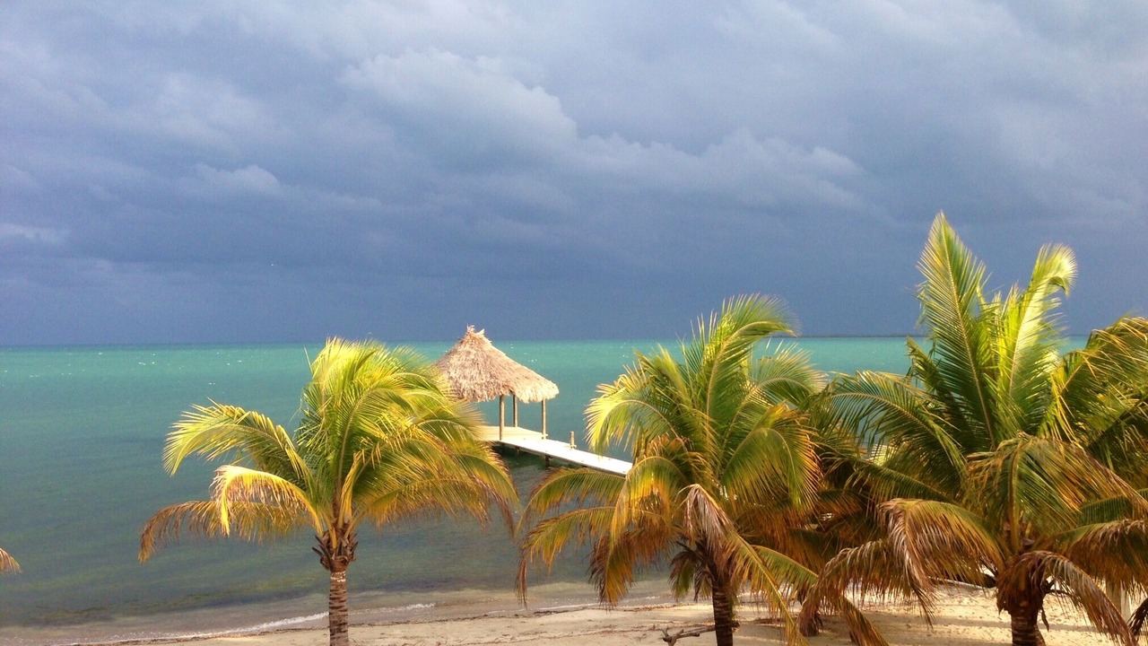 Photo of Others in Plantation