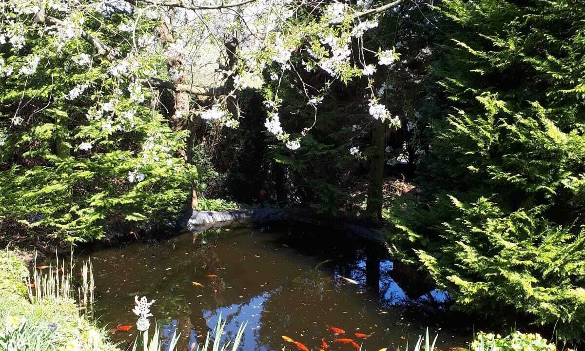 Photo of Outdoor in Sundern-Allendorf