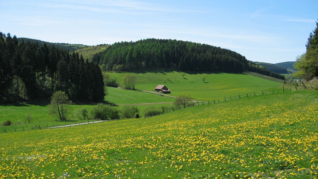 Photo of Others in Sundern-Allendorf
