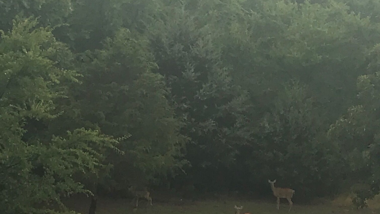 Photo of Outdoor in Cookson
