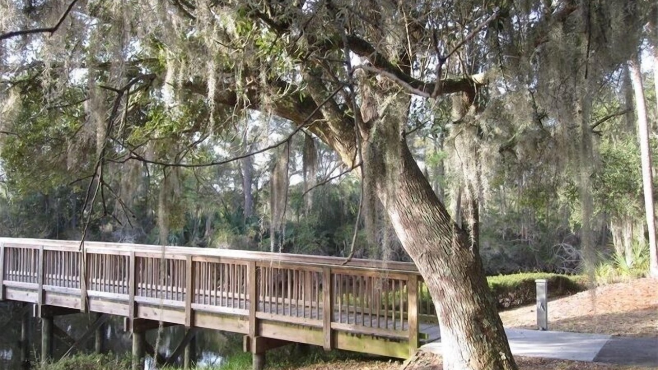 Photo of Others in Kiawah Island