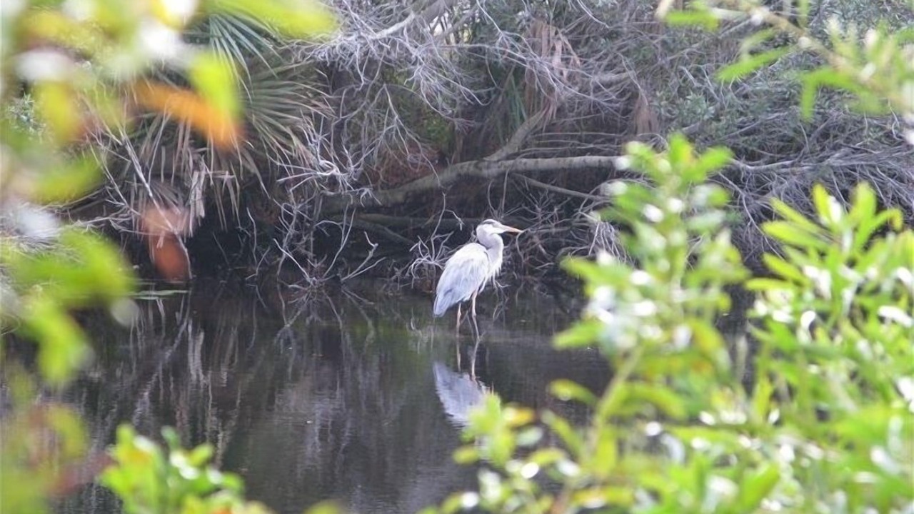 Photo of Others in Kiawah Island