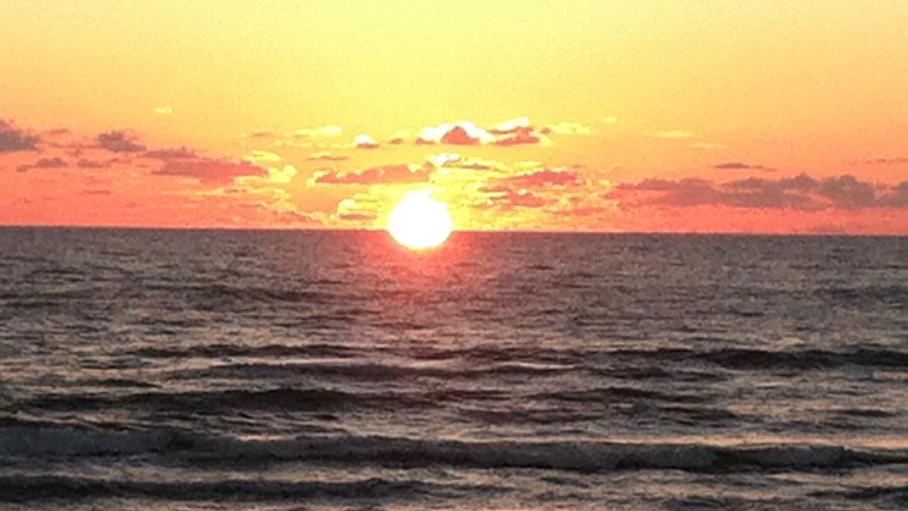 Photo of Others in South Padre Island