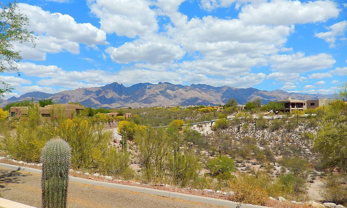 Photo of Others in Tucson