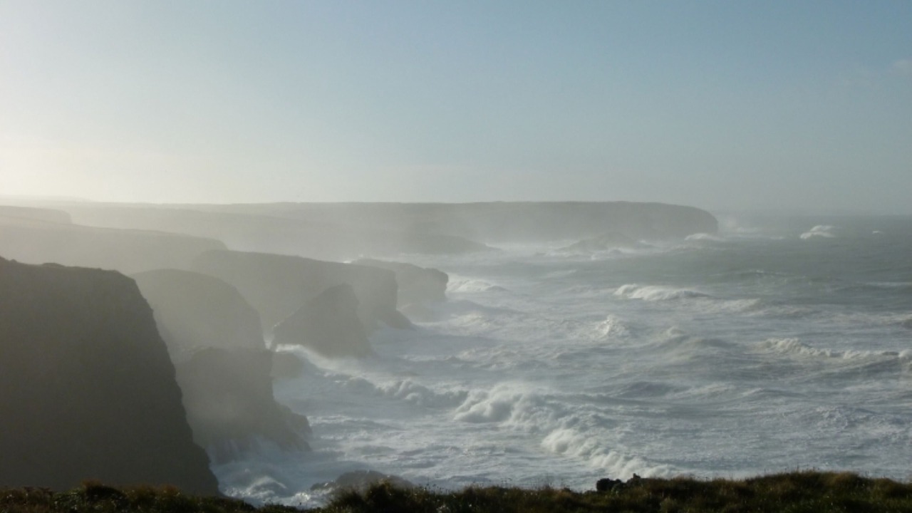 Photo of Others in Treyarnon