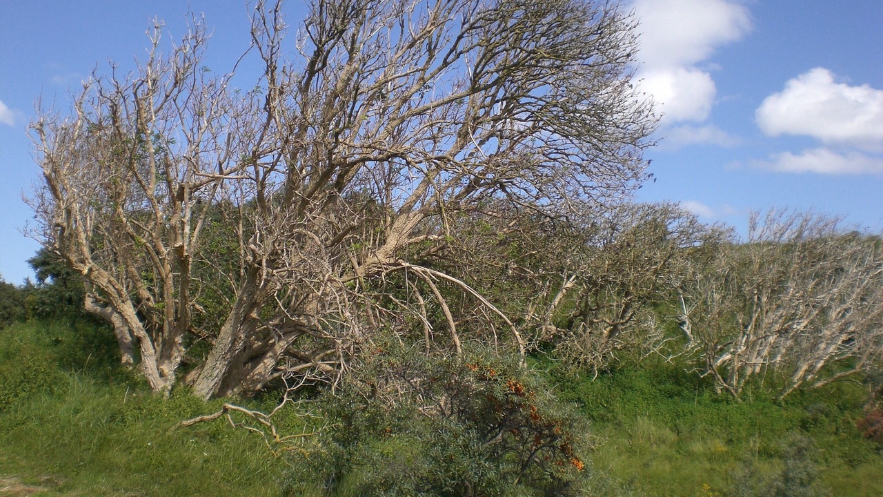 Photo of Outdoor in Osteel