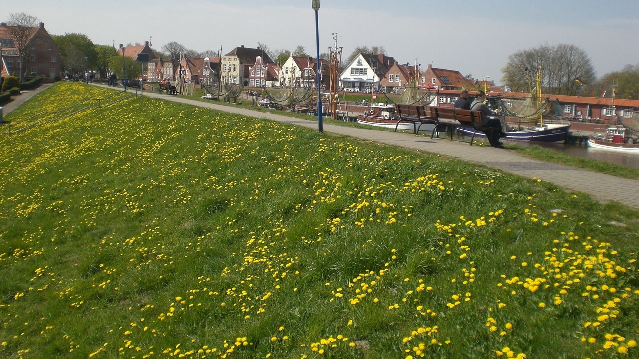 Photo of Outdoor in Osteel