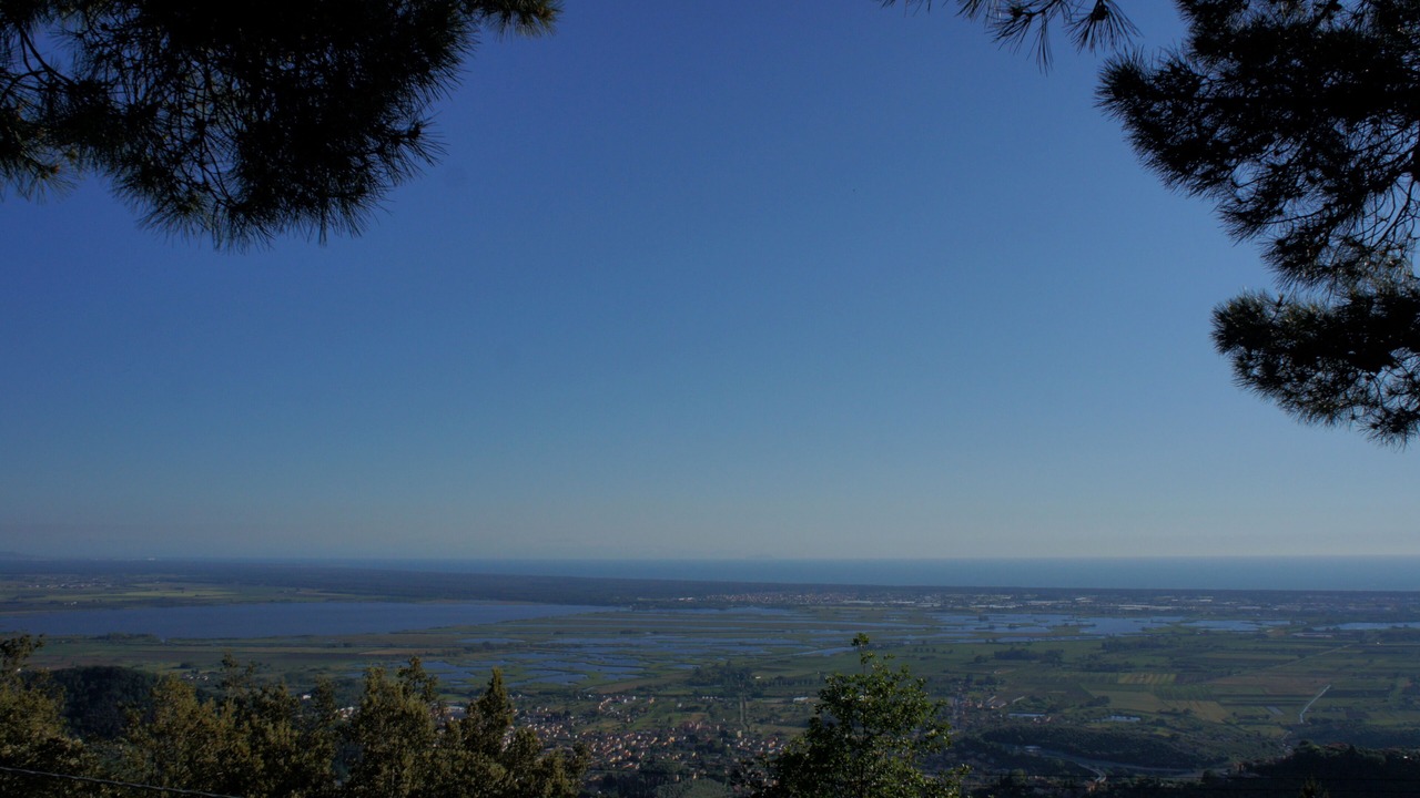 Photo of Others in Massarosa