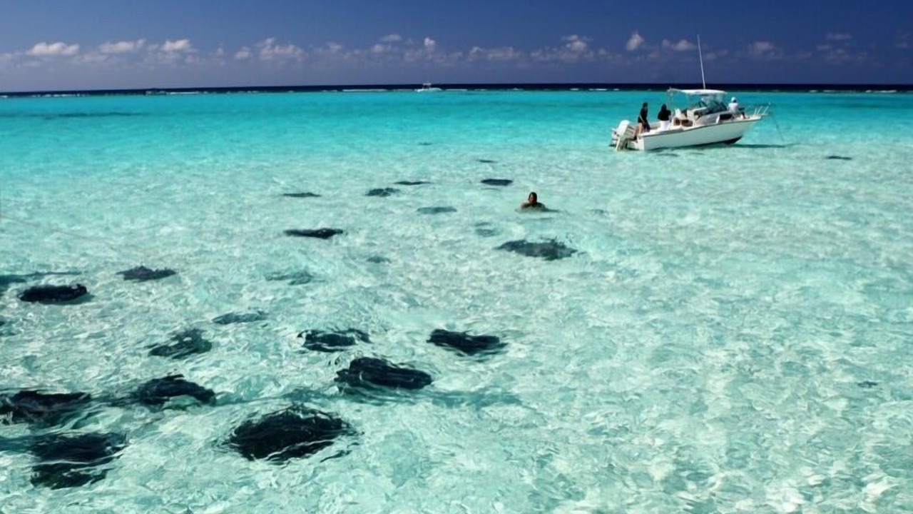 Photo of Others in Rum Point