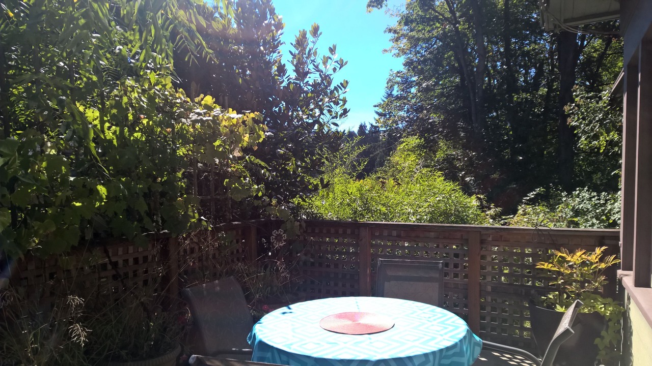 Photo of Outdoor in Portland Heights