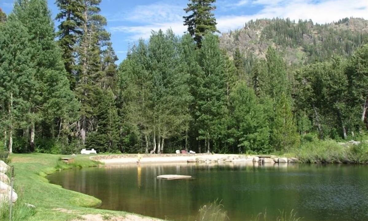 Photo of Others in Alpine Meadows