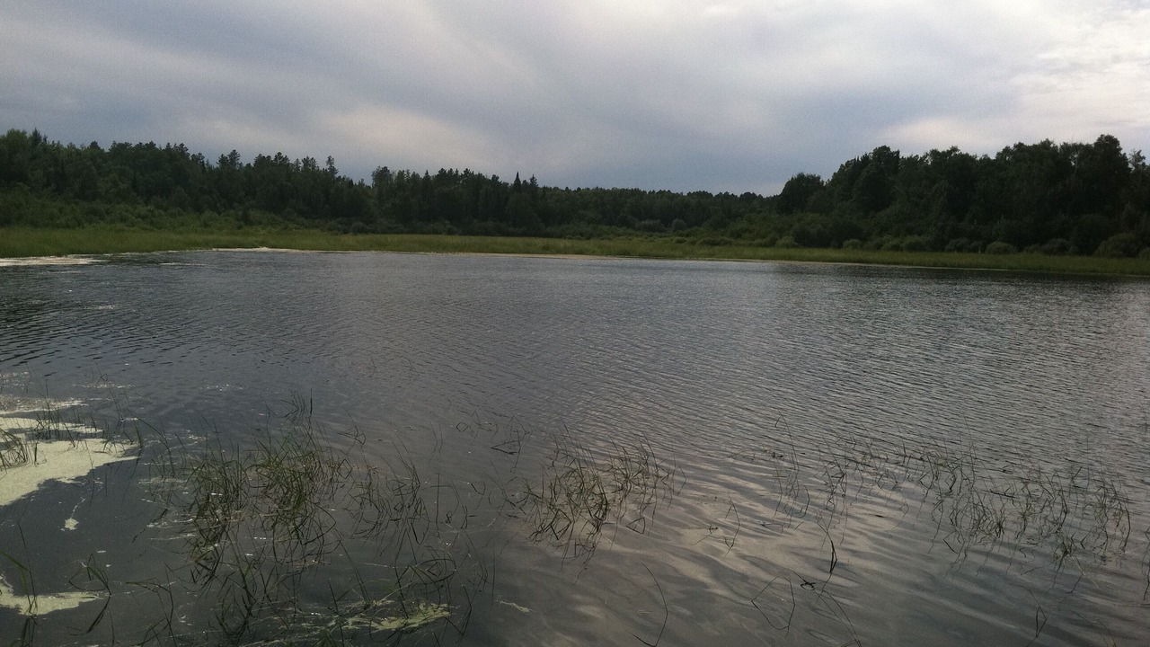 Photo of Outdoor in Shevlin