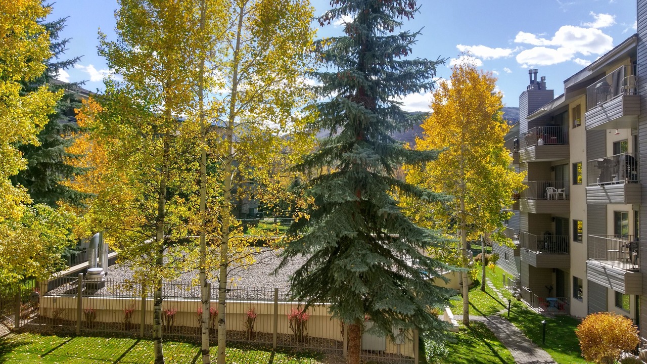 Photo of Patio Balcony in Avon